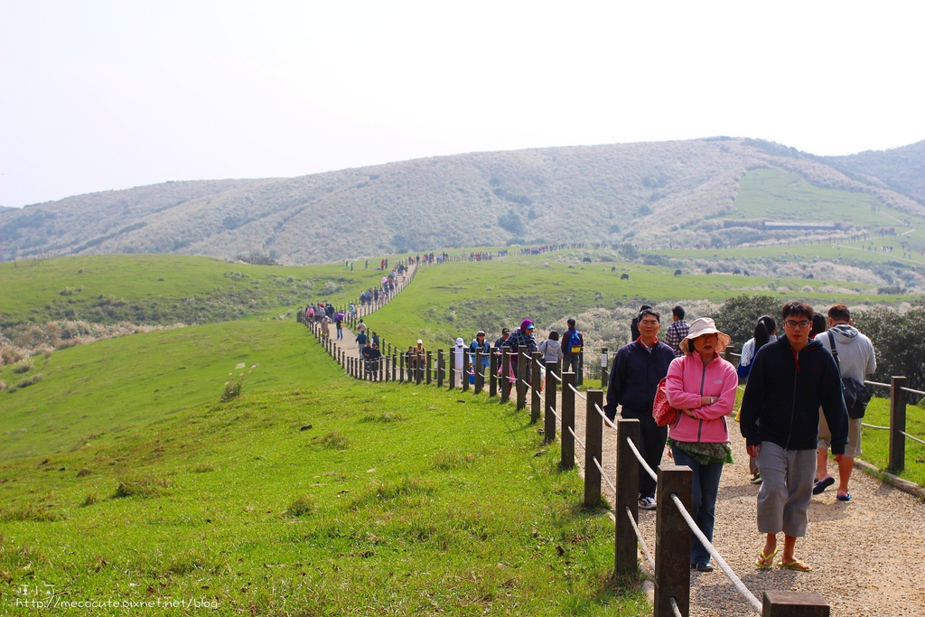陽明山一日遊  擎天崗 芒花盛開 陽明山一片金黃花海  秋芒之旅陽明山一日遊  擎天崗 芒花盛開 陽明山一片金黃花海  秋芒之旅陽明山一日遊  擎天崗 芒花盛開 陽明山一片金黃花海  秋芒之旅陽明山一日遊  擎天崗 芒花盛開 陽明山一片金黃花海  秋芒之旅陽明山一日遊  擎天崗 芒花盛開 陽明山一片金黃花海  秋芒之旅陽明山一日遊  擎天崗 芒花盛開 陽明山一片金黃花海  秋芒之旅陽明山一日遊  擎天崗 芒花盛開 陽明山一片金黃花海  秋芒之旅陽明山一日遊  擎天崗 芒花盛開 陽明山一片金黃花海  秋芒之旅陽明山一日遊  擎天崗 芒花盛開 陽明山一片金黃花海  秋芒之旅陽明山一日遊  擎天崗 芒花盛開 陽明山一片金黃花海  秋芒之旅陽明山一日遊  擎天崗 芒花盛開 陽明山一片金黃花海  秋芒之旅陽明山一日遊  擎天崗 芒花盛開 陽明山一片金黃花海  秋芒之旅陽明山一日遊  擎天崗 芒花盛開 陽明山一片金黃花海  秋芒之旅陽明山一日遊  擎天崗 芒花盛開 陽明山一片金黃花海  秋芒之旅陽明山一日遊  擎天崗 芒花盛開 陽明山一片金黃花海  秋芒之旅陽明山一日遊  擎天崗 芒花盛開 陽明山一片金黃花海  秋芒之旅