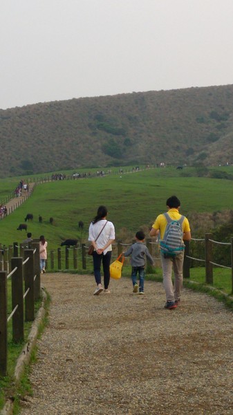 陽明山擎天崗：【台北旅遊】擎天崗大草原看牛@士林陽明山