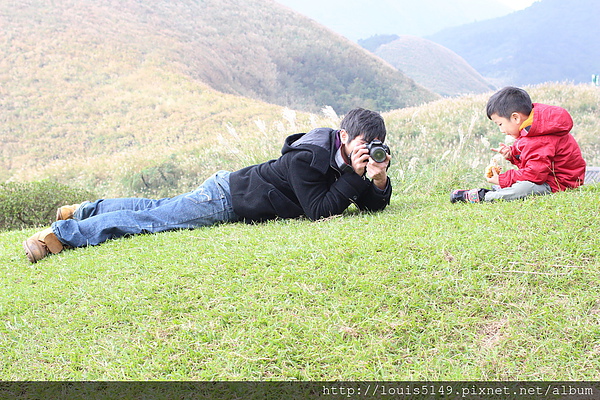 台北景點一日遊 陽明山擎天崗芒花季