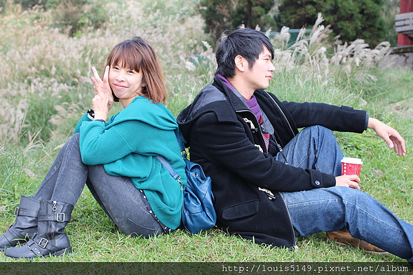 台北景點一日遊 陽明山擎天崗芒花季