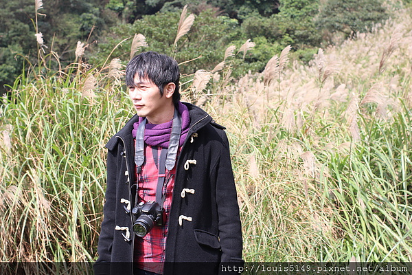 台北景點一日遊 陽明山擎天崗芒花季