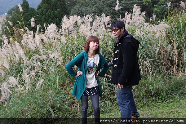台北景點一日遊 陽明山擎天崗芒花季