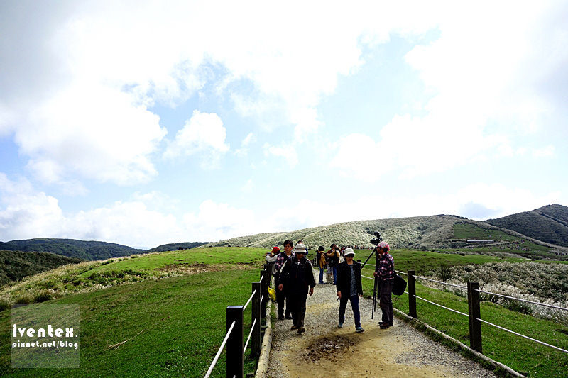 09刀口力台北陽明山擎天崗芒花芒草