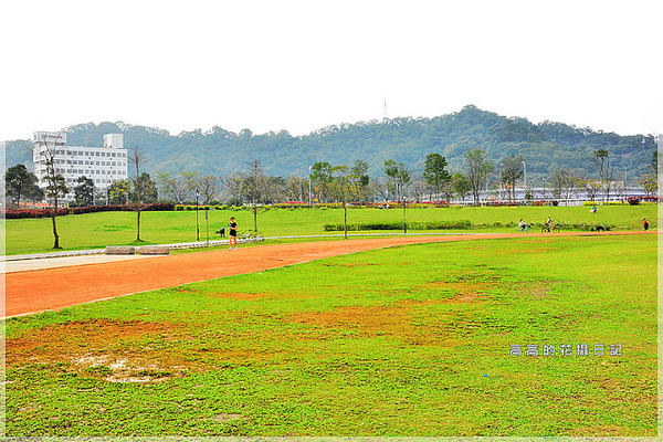 陽光運動公園:【新北】新店區。陽光橋 & 陽光運動公園賞櫻