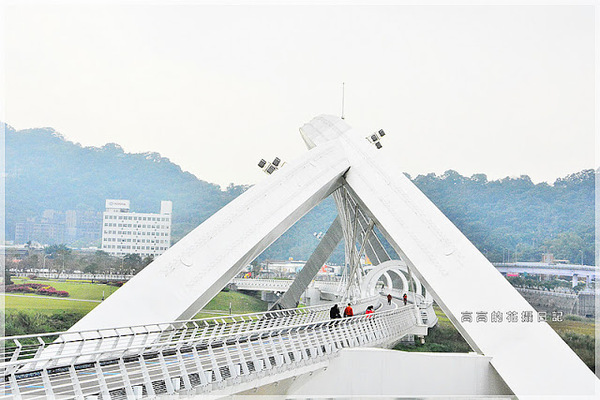 陽光運動公園:【新北】新店區。陽光橋 & 陽光運動公園賞櫻