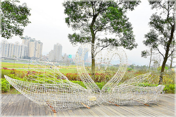 陽光運動公園:【新北】新店區。陽光橋 & 陽光運動公園賞櫻