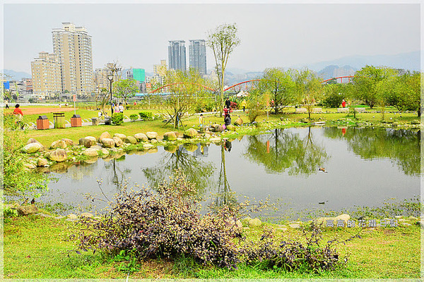 陽光運動公園:【新北】新店區。陽光橋 & 陽光運動公園賞櫻