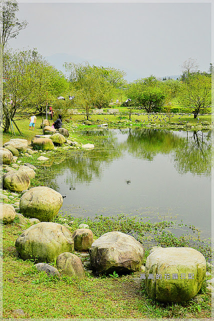 陽光運動公園:【新北】新店區。陽光橋 & 陽光運動公園賞櫻