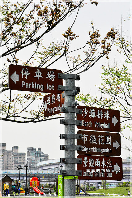 陽光運動公園:【新北】新店區。陽光橋 & 陽光運動公園賞櫻