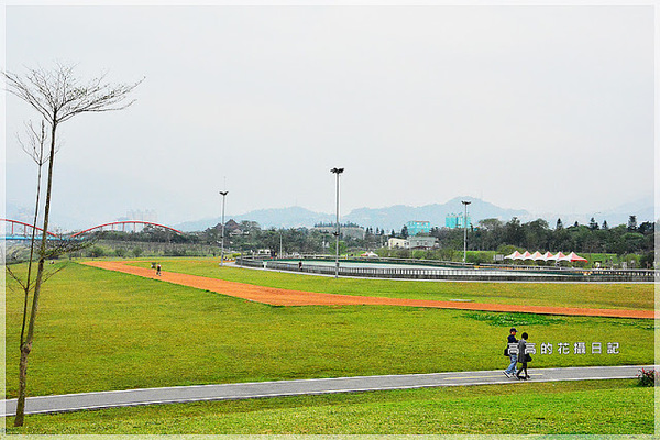 陽光運動公園:【新北】新店區。陽光橋 & 陽光運動公園賞櫻