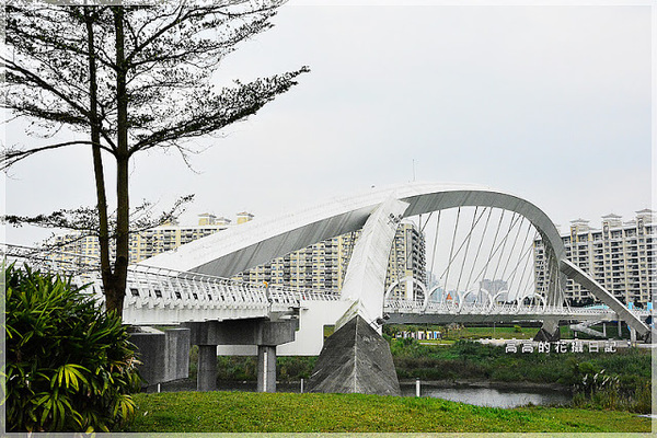 陽光運動公園:【新北】新店區。陽光橋 & 陽光運動公園賞櫻