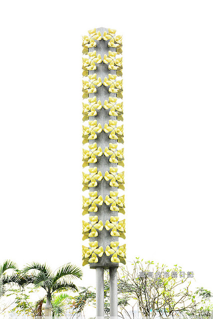 陽光運動公園:【新北】新店區。陽光橋 & 陽光運動公園賞櫻