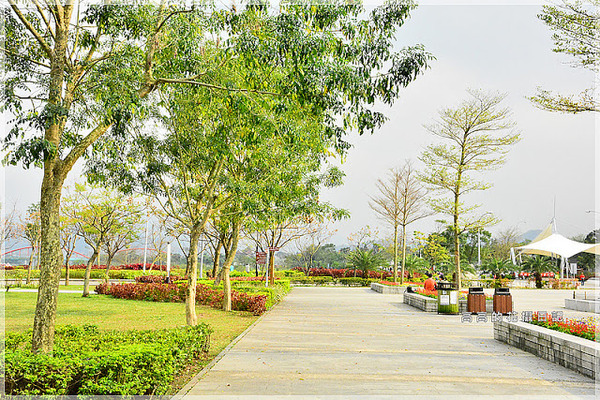 陽光運動公園:【新北】新店區。陽光橋 & 陽光運動公園賞櫻