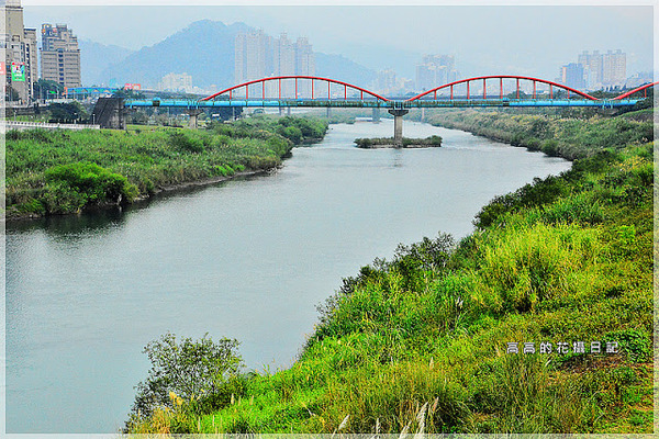 陽光運動公園:【新北】新店區。陽光橋 & 陽光運動公園賞櫻