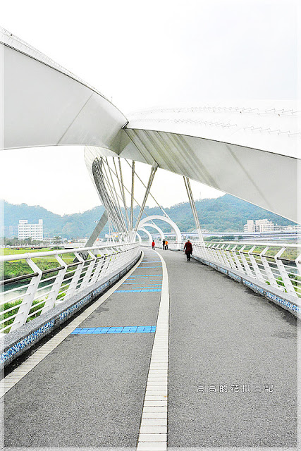 陽光運動公園:【新北】新店區。陽光橋 & 陽光運動公園賞櫻