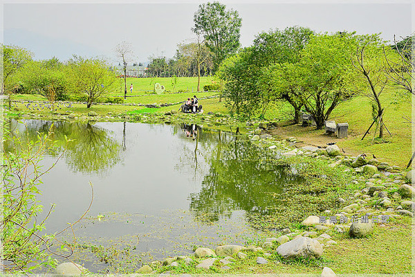 陽光運動公園:【新北】新店區。陽光橋 & 陽光運動公園賞櫻