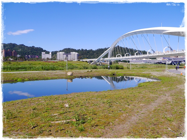 新店陽光運動公園賞河津櫻