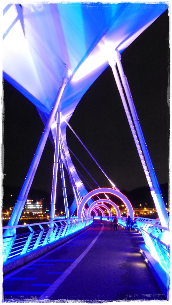 陽光運動園區：【新北◍•ᴗ•◍新店】捷運小碧潭站✯賞櫻景點・陽光運動園區賞河津櫻｜陽光運動公園河津櫻滿開，夜拍也美麗