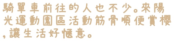 陽光運動園區：【新北◍•ᴗ•◍新店】捷運小碧潭站✯賞櫻景點・陽光運動園區賞河津櫻｜陽光運動公園河津櫻滿開，夜拍也美麗