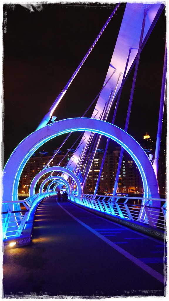 陽光運動園區：【新北◍•ᴗ•◍新店】捷運小碧潭站✯賞櫻景點・陽光運動園區賞河津櫻｜陽光運動公園河津櫻滿開，夜拍也美麗