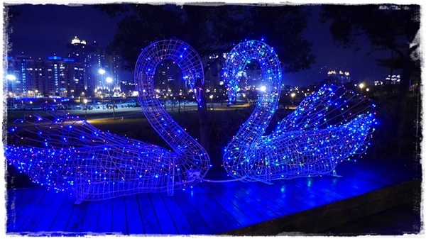 陽光運動園區：【新北◍•ᴗ•◍新店】捷運小碧潭站✯賞櫻景點・陽光運動園區賞河津櫻｜陽光運動公園河津櫻滿開，夜拍也美麗