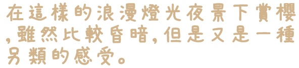 陽光運動園區：【新北◍•ᴗ•◍新店】捷運小碧潭站✯賞櫻景點・陽光運動園區賞河津櫻｜陽光運動公園河津櫻滿開，夜拍也美麗