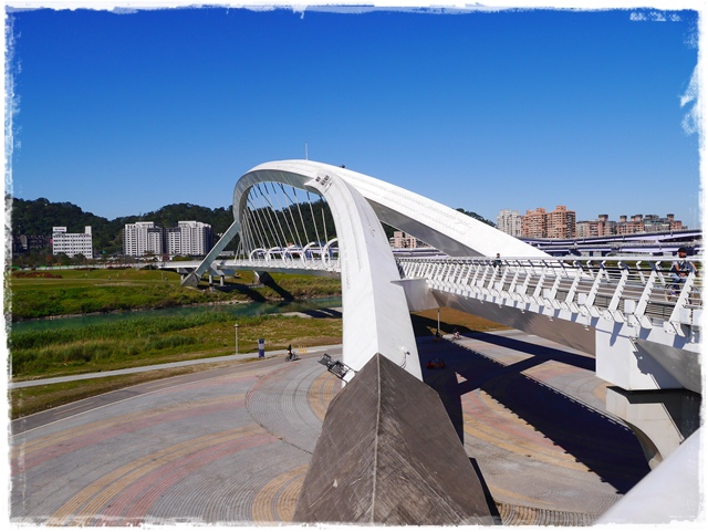 新店陽光運動公園賞河津櫻