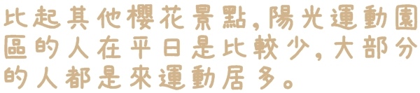 陽光運動園區：【新北◍•ᴗ•◍新店】捷運小碧潭站✯賞櫻景點・陽光運動園區賞河津櫻｜陽光運動公園河津櫻滿開，夜拍也美麗
