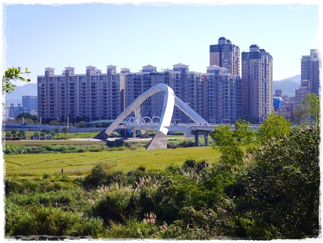 新店陽光運動公園賞河津櫻