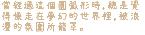 陽光運動園區：【新北◍•ᴗ•◍新店】捷運小碧潭站✯賞櫻景點・陽光運動園區賞河津櫻｜陽光運動公園河津櫻滿開，夜拍也美麗