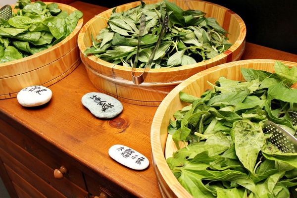 花蓮自由行,緩慢民宿,石梯坪,東部海岸國家風景區,花蓮縣豐濱鄉,特殊地質景觀