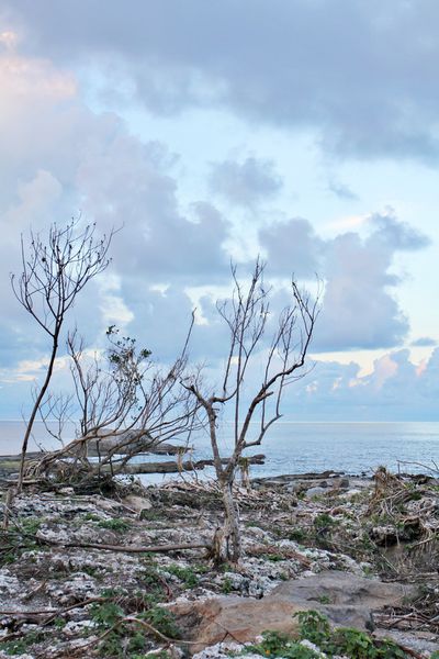 花蓮自由行,緩慢民宿,石梯坪,東部海岸國家風景區,花蓮縣豐濱鄉,特殊地質景觀