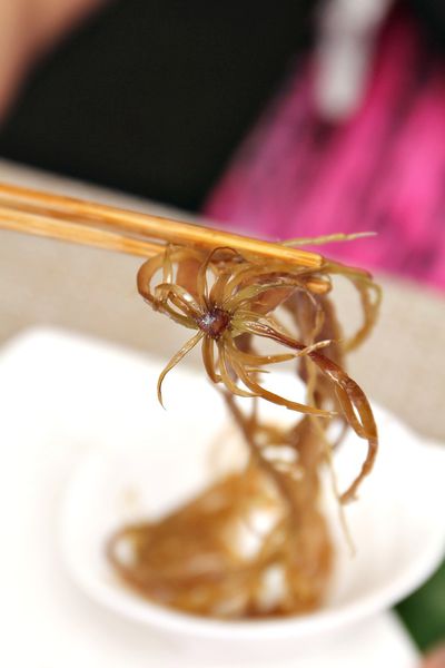 花蓮自由行,緩慢民宿,石梯坪,東部海岸國家風景區,花蓮縣豐濱鄉,特殊地質景觀