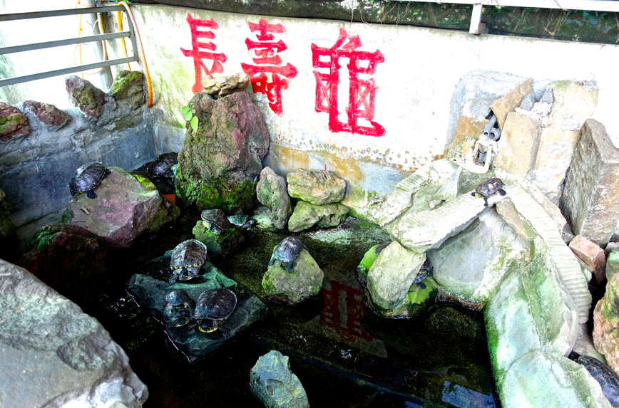 螢幕快照 2015-11-17 下午8.15.51