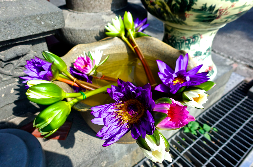 螢幕快照 2015-11-17 下午8.15.20