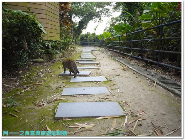 大溪藝文之家：桃園 大溪藝文之家(蔣公行館)&武德殿&中正公園&大溪橋～一個人的小旅行