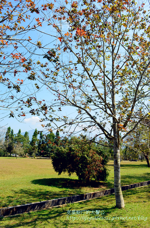 暨南大學 154_副本.jpg