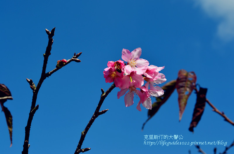 暨南大學 222_副本.jpg