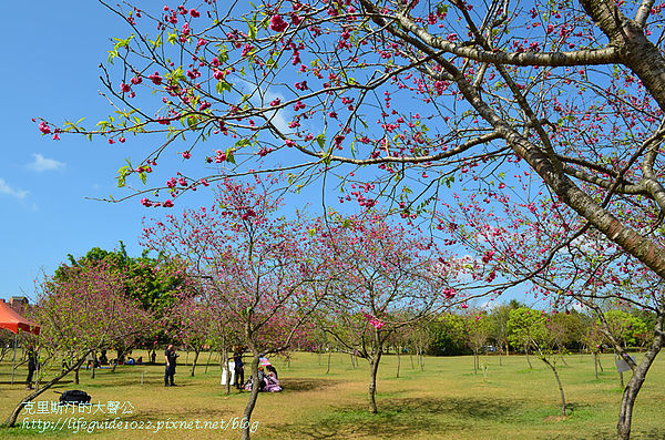 暨南大學 199_副本.jpg
