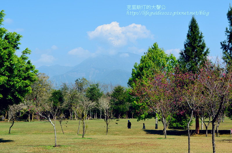 暨南大學 147_副本.jpg