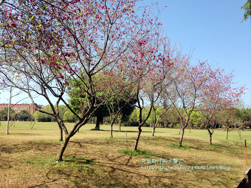 暨南大學 048_副本.jpg