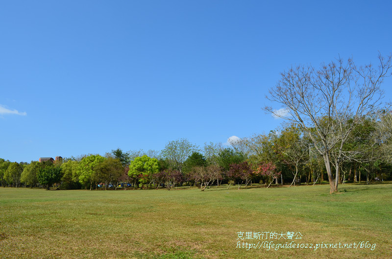 暨南大學 156_副本.jpg