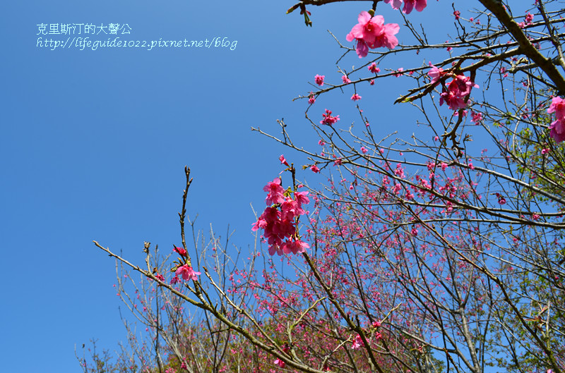 暨南大學 132_副本.jpg