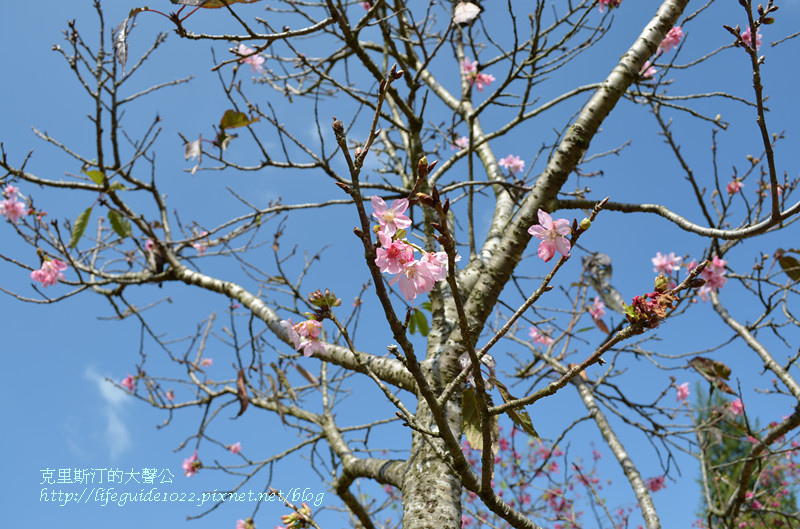 暨南大學 202_副本.jpg