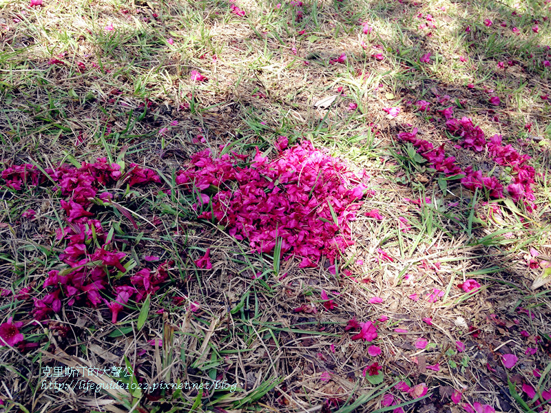 暨南大學 023_副本.jpg