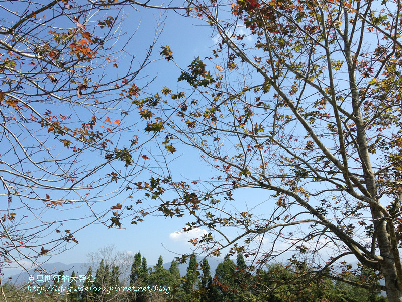 暨南大學 035_副本.jpg