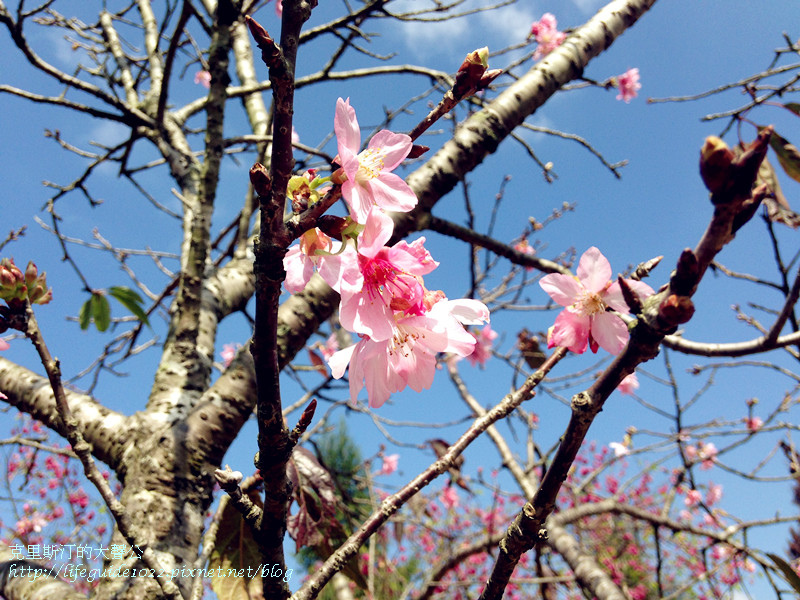 暨南大學 067_副本.jpg