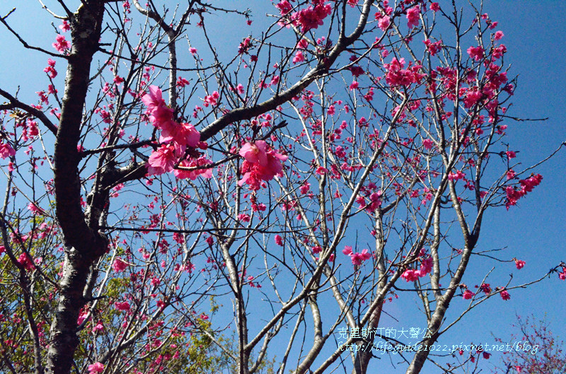 暨南大學 142_副本.jpg