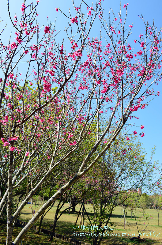 暨南大學 141_副本.jpg