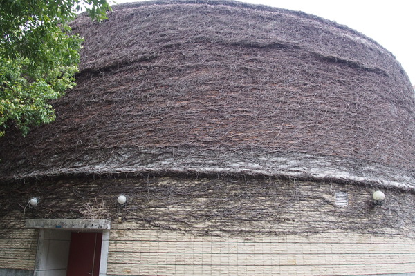 國立暨南大學：【南投・埔里】暨南大學賞櫻花